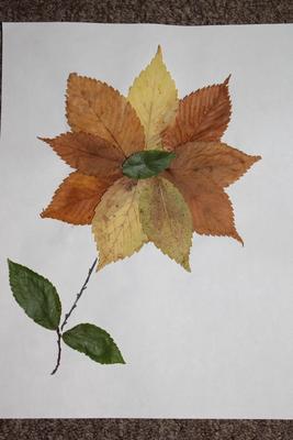 Цветы из осенних листьев своими руками - 60 фото