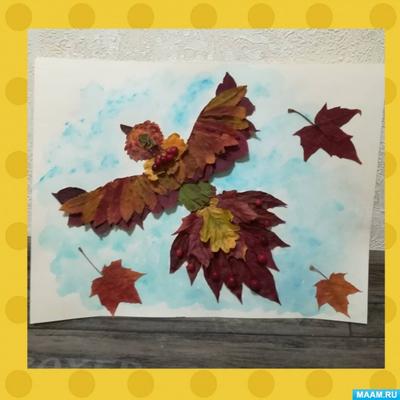 Лента обсуждений Мастер-класс «Флористический коллаж «Осень выкрасила листья »