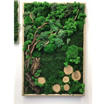Панно из мхов, древесных грибов и стабилизированных растений - Emerald Green