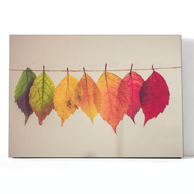 Красивый узор из осенних листьев - 42 фото