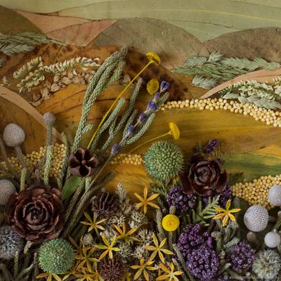 Картины из природного материала Автор @emki_em Как вам идеи? . . . 1 фото  из шишек лиственницы 2 фото из шишек сосны Красила шишки… | Instagram