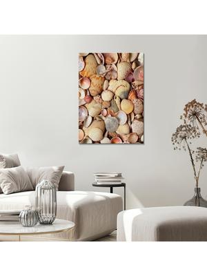 Картина на холсте с подрамником ХитАрт Картинка ракушек 50x70 - купить по  низкой цене в интернет-магазине OZON (686680958)