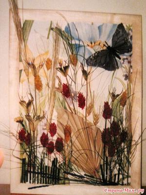 Невероятно красивая идея! Панно из сухоцветов. Поделки своими руками. DIY  panel of dried flowers - YouTube