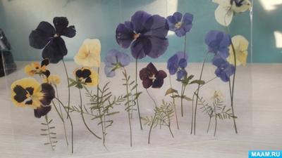 Мастер-класс картина из сухих цветов в Москве от AlexGrim Studio
