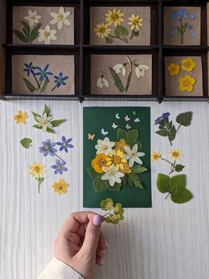 Как собрать букет из сухоцветов — сборка композиций для начинающих своими  руками