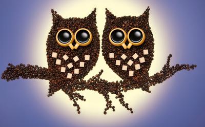 Поделки из кофейных зерен своими руками: 5 оригинальных идей