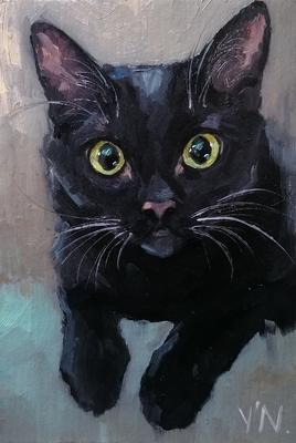 Портрет чёрной кошки | Пикабу