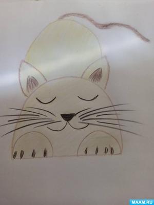 Рисую котов моих читателей. Реалистичные рисунки котов | Цветок под  солнцем🌷 | Дзен
