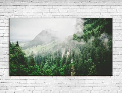 Интерьерная картина Лес Природа Туман на холсте, на стену 70x100 см -  купить по низкой цене в интернет-магазине OZON (307593129)