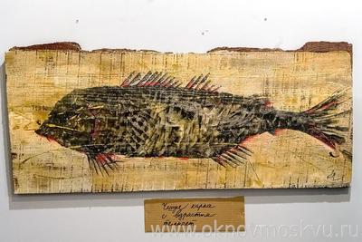 Свои в доску: Рыбы, человечки и бобры на выставке Андрея Макаревича «Доски»  в галерее «Роза Азора».