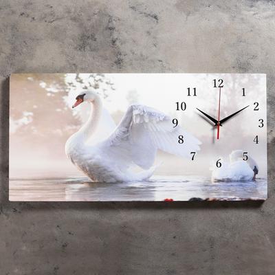 Часы-картина настенные, серия: Животный мир, \"Белый лебедь\", 40 х 76 см -  купить с доставкой в Бишкеке - Agora.kg - товары для Вашей семьи