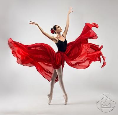Картина Синие Балерины – лучшие товары в онлайн-магазине Джум Гик