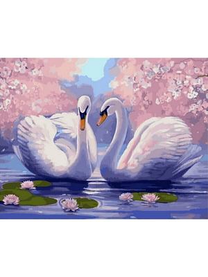Картина по номерам \"Лебеди и озеро. Пейзаж. Птицы. Природа.\" 40х50. Hobby  Home. - купить с доставкой по выгодным ценам в интернет-магазине OZON  (202718468)