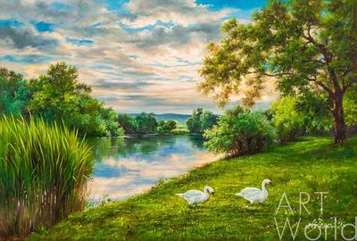 Картина Пейзаж маслом \"Лебеди на берегу реки\" 60x90 AR200805 купить в Москве