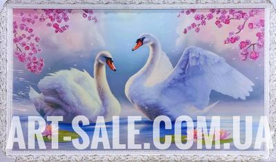 Картина Лебеди — Купить на BIGL.UA ᐉ Удобная Доставка (1544641771)