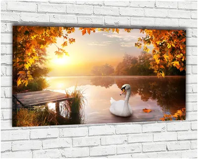 Купить картину Ваш лебедь счастья в Москве от художника Малыгин Артём