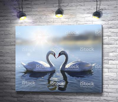 Настенные картины для зала большие размеры на габилене с лебедями природа —  купить по низкой цене на Яндекс Маркете