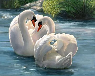 Репродукция картины \"Лебеди на воде\". Картина маслом на холсте \"Лебеди на  воде\"