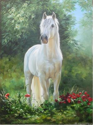 Картина Картина маслом \"Белая лошадь\" 90x120 SK181201 купить в Москве