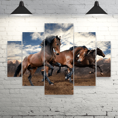 Купить ГАЛЕРЕЯ КАРТИН картина Картина лошади 50x70 см в Алматы – Магазин на  Kaspi.kz