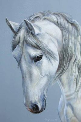 Картины с лошадьми - купить картину с лошадьми в Москве, цены в каталоге  интернет-магазина DG-HOME