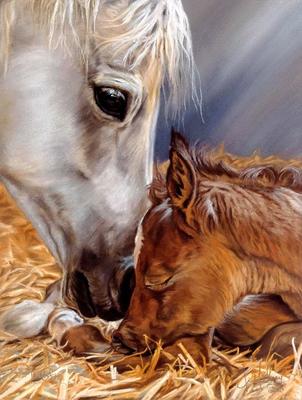 Лошадь» картина Моисеевой Лианы маслом на холсте — купить на ArtNow.ru