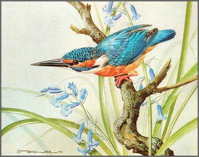 Птицы от английского живописца Basil Ede: Идеи и вдохновение в журнале  Ярмарки Мастеров