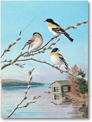 Репродукция картины \"Птицы весной\". Картина маслом на холсте \"Птицы весной\"