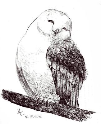 Картина «Птицы на ветке» или «Концерт птиц» Мельхиор де Хондекутер