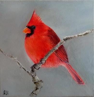 Рисунок акварелью Четыре птицы - Снегирь, Красный кардинал, Синица, Голубая  сойка Stock Illustration | Adobe Stock
