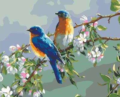 Купить картина по номерам Живопись по Номерам Весенние птицы, 40x50, цены  на Мегамаркет | Артикул: 600001136479
