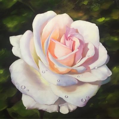 Репродукция картины \"Белая роза\". Картина маслом на холсте \"Белая роза\"