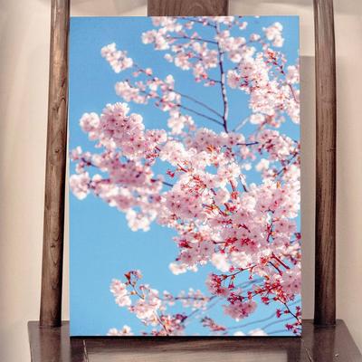 Картина “Сакура на фоне неба” | PrintStorm