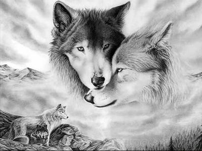 Картина по номерам-Волк в заполярье ВанГогВоМне 8645572 купить в  интернет-магазине Wildberries
