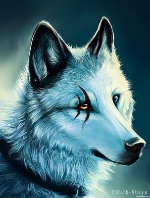 Картина «Волки»