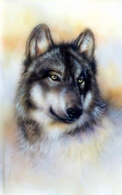 Картина волка на холсте, предпосылке цвета на бумаге, Multicolor  иллюстрации Иллюстрация штока - иллюстрации насчитывающей пакет, ночь:  51936014