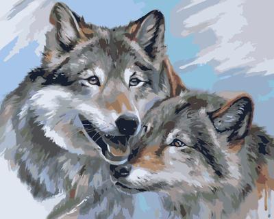 три волка стоят возле темного леса, классная картинка с волками, волки,  волк фон картинки и Фото для бесплатной загрузки