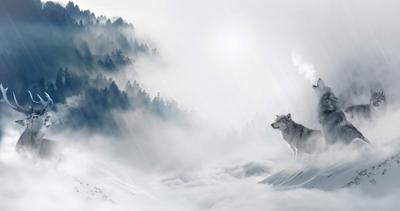 Модульная картина Лось и волки: - Арт. 180470 | Купить в интернет-магазине  Уютная стена
