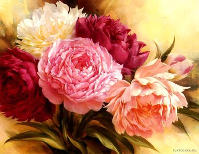 Подборка красивых рисунков с цветами маслом | FLATONIKA