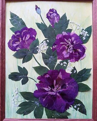Анюткина комната: Чина лесная | Цветочный рисунок, Иллюстрации растений,  Ботанические принты