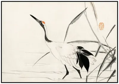 Картина в японском стиле с птицами крана Стоковое Фото - изображение  насчитывающей сновидения, цветок: 166672550