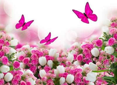 Милые сердцу цветы. Тюльпаны на живописных полотнах | Альбом впечатлений  (от Милы К.) | Дзен