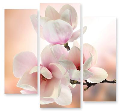 Модульная картина 288 \"Весенние цветы\" – фото в интерьере | Купить, цена 9  220 руб.