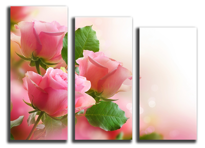 Купить модульная картина Зарисованные пышные розы цены и фото |  интернет-магазин Фотомили