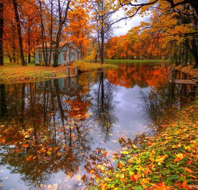 Осенний пейзаж / Купить в Виннице с доставкой по Украине