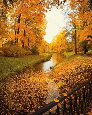 Картина на холсте \"Осенний пейзаж с мостом\"