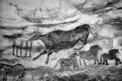 Genotek - Знаете ли вы, когда и почему возникло первобытное искусство?  Первые произведения искусства принято связывать с ориньякской культурой,  возникшей в каменном веке (38-30 тысяч лет до н.э..). Люди этой культуры  вырезали