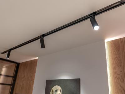 Подсветка для картин светодиодная 16W IP20 черная Elektrostandard Sankara  MRL LED 1009 черный купить выгодно в интернет-магазине Лю.ру - Доставка в  Москве, по России | отзывы (1)