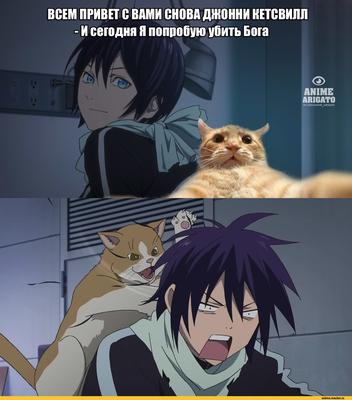 Meme Anime/Мемы Аниме | Веселые мемы, Мемы о работе, Забавные фото