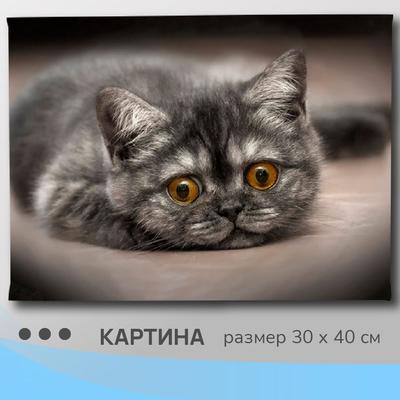 Цифровой портрет по фото на заказ (Дрим арт, поп арт, стилизация)  (ID#1199702519), цена: 350 ₴, купить на Prom.ua